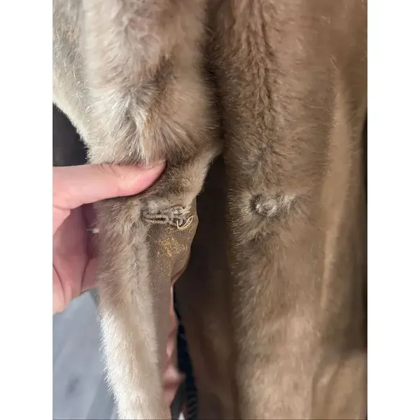 Sears fashion Faux Fur Coat Sz 8 M Vintage 70s Light Brown Tan Plush Winter Jack - Image 4