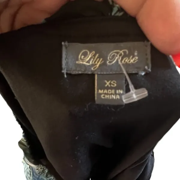 Lily Rose Dress‎ - Image 7