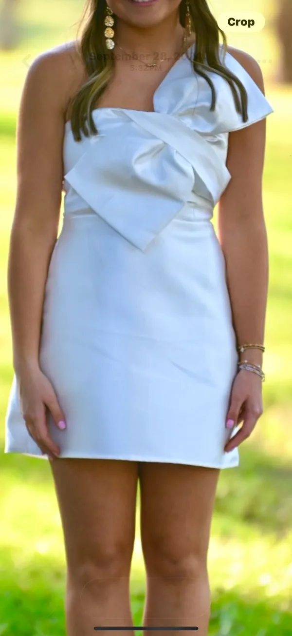 Lulus Mini Dress - Image 2