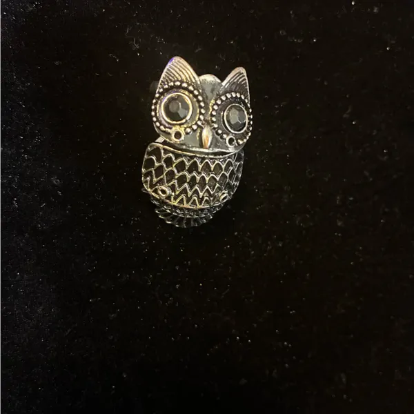 Silver Owl Statement Ring size 7 - Image 5