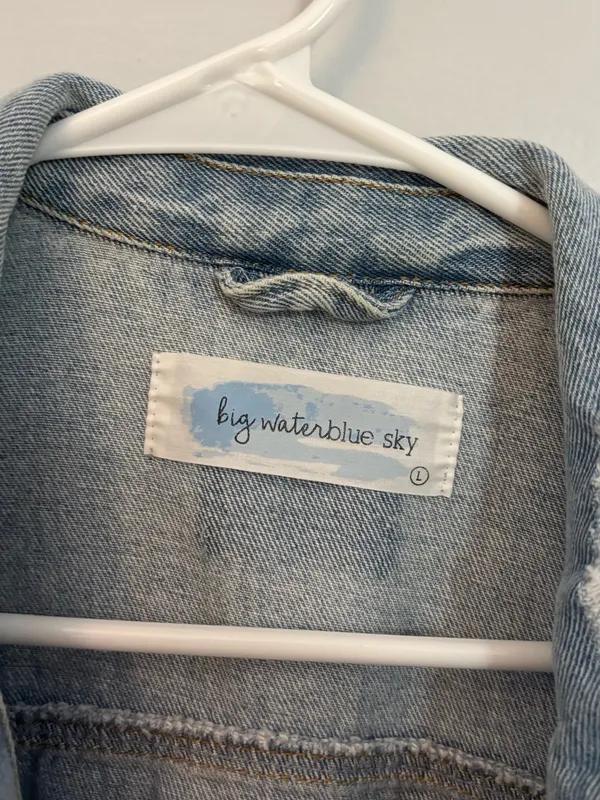 Lizard Thicket Light Blue Jean Jacket - Image 4