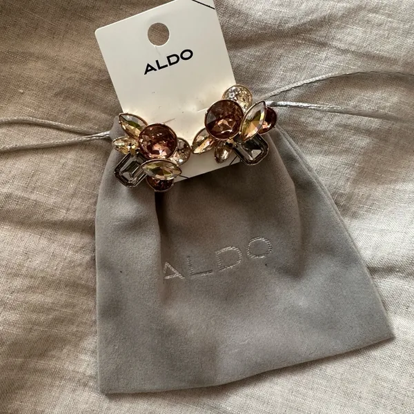 Aldo Brown and Gold Gemstone Earrings - Image 3