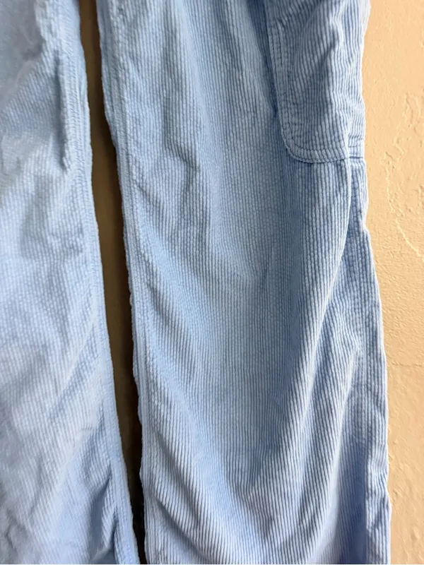 American Eagle Outfitters Light Blue Wide-Leg Corduroy Cargo Pants size 0 short - Image 2