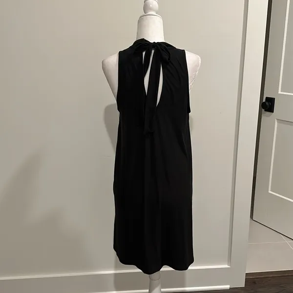 NWT Evereve RD Style Keyhole Mock Neck Tie Dress Sz L - Image 4