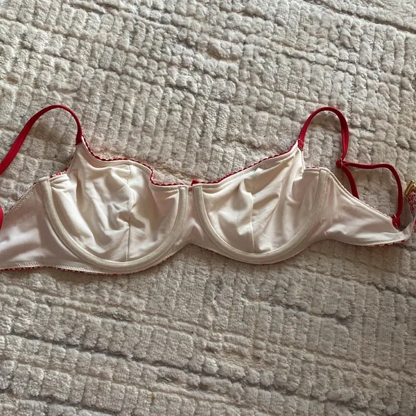 NWT Victoria's Secret Pink Frankie's Bikinis Top - Image 5