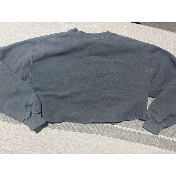 Gildan Eastern Illinois EIU Panthers Cropped Sweatshirt Womens‎ Size Medium - Image 5