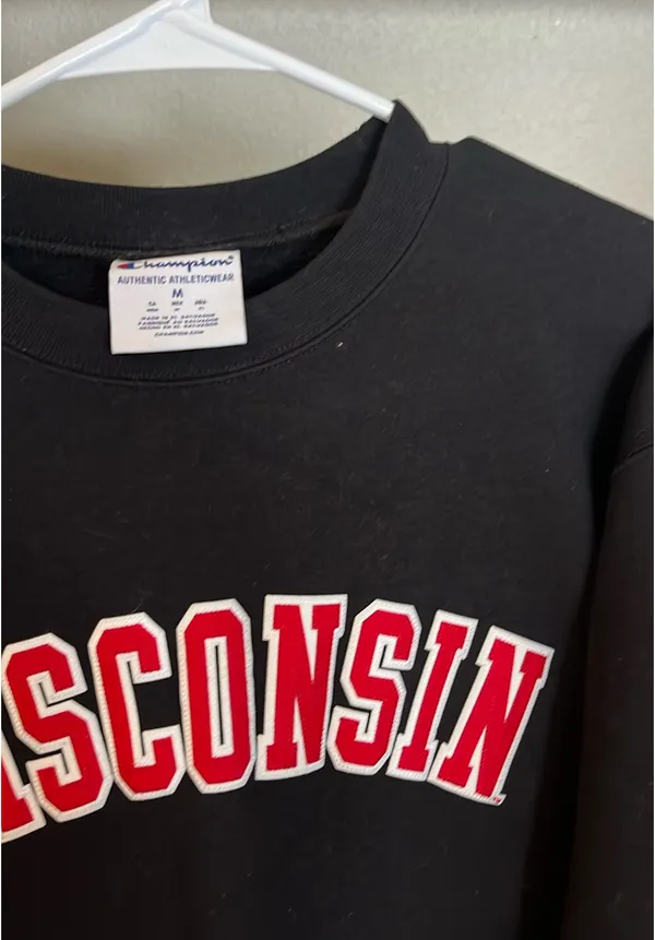 Wisconsin Champion Crewneck - Image 3