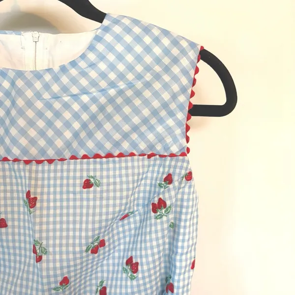 50s Baby Blue Gingham Dress Coquette Strawberry Cottagecore Picnic Retro Femme - Image 8