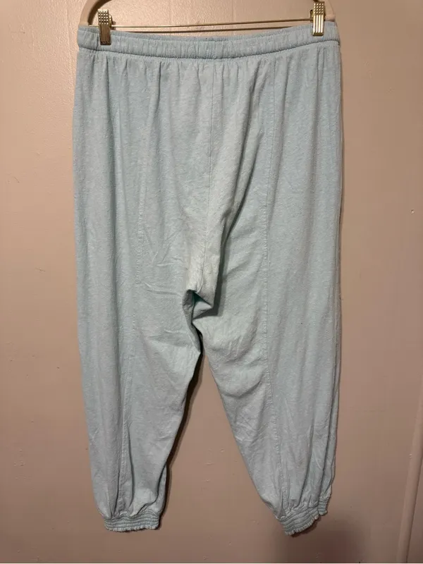 Aerie Womens Ment color Drawstring Jogger Pants L - Image 7
