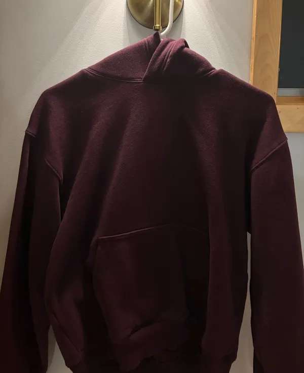 Aritzia Hoodie - Image 2
