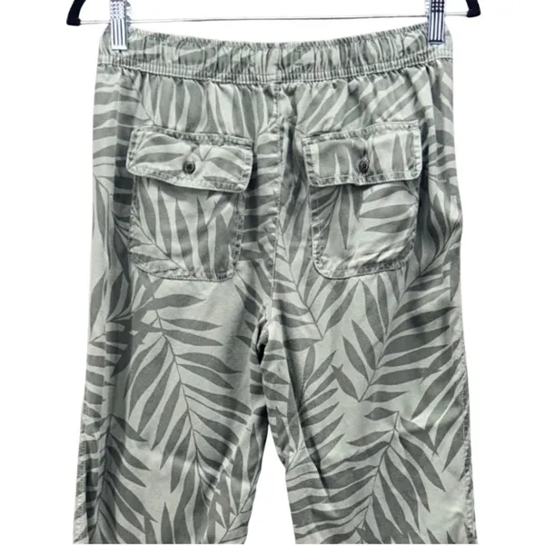 C‎ And California Jogger Pants Green 2 - Image 4