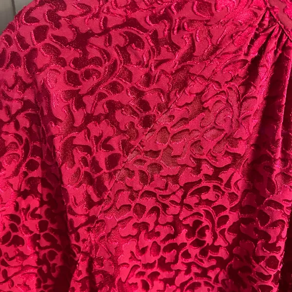Anthropologie Susanna Velvet Deep Red Patterned B/D Blouse | Small - Image 6