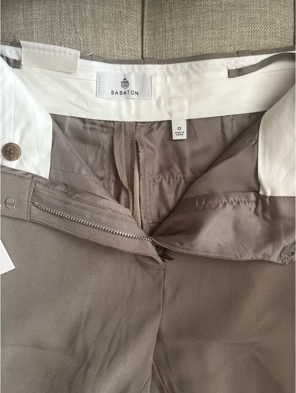 Aritzia Babaton Shorts - Image 3