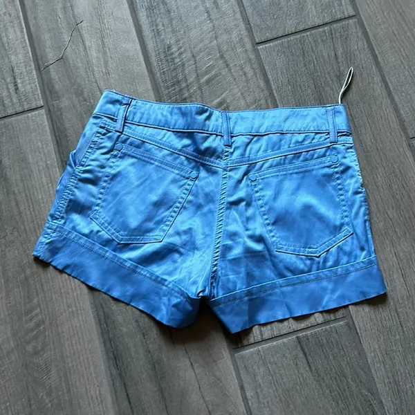 Blue silky shorts - Image 3