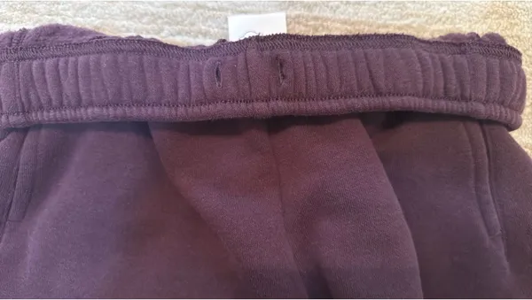 OFFLINE by Aerie Plum 3” Cloud Fleece Shorts - Image 4