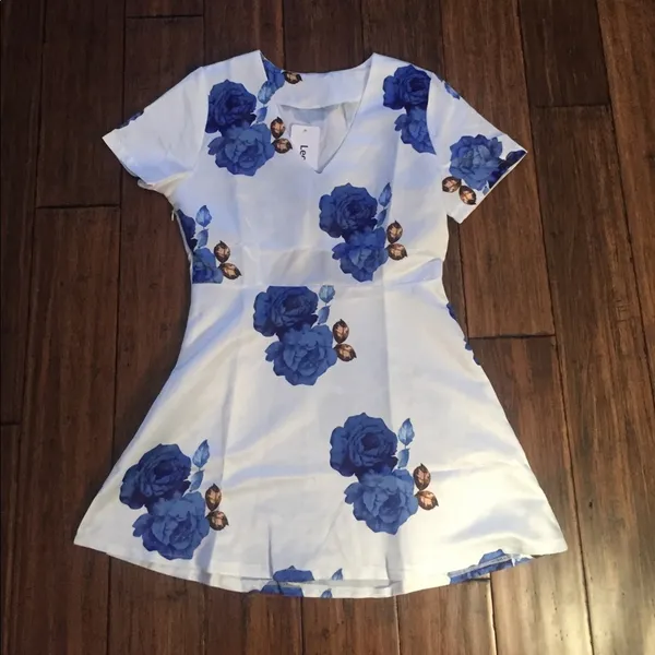 Blue White Rose Floral Cut Out Back Skater Fit Flare V Neck Mini Dress Sz S BWT - Image 3