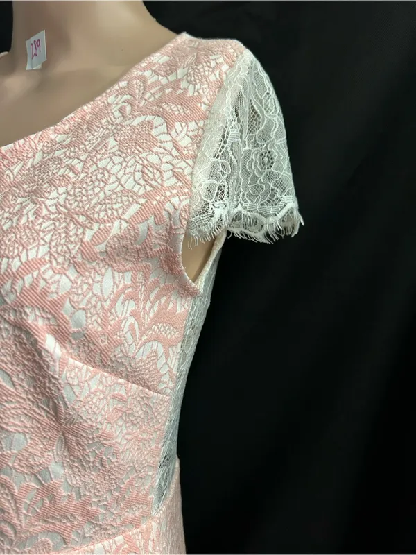 Moon Sleeveless Pink Lace Sheath Dress XS - SM - Image 3