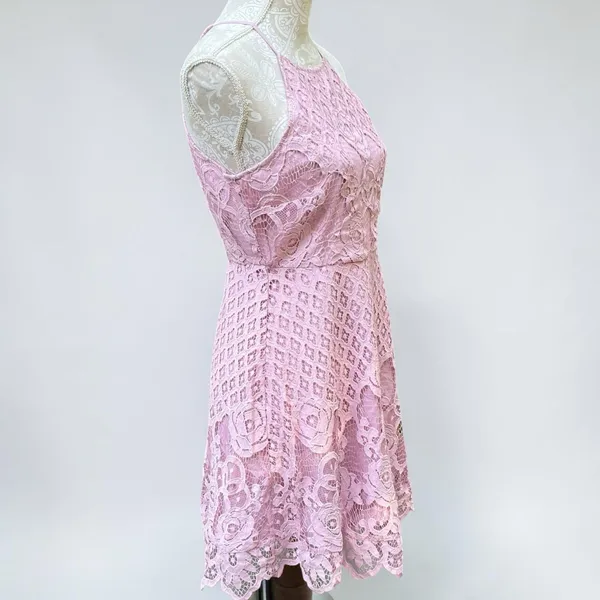 Black Swan Charlotte Lace Dress Size M Blush Pink Skater Fit Flare Wedding Guest - Image 2