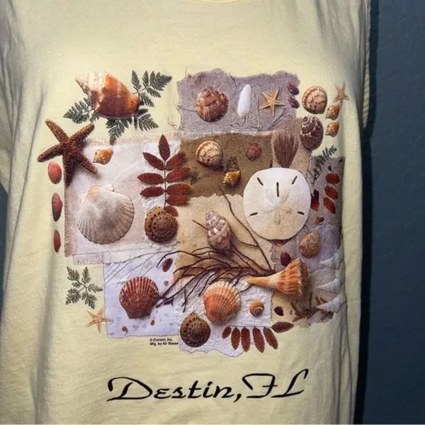 Vintage Destin, FL Graphic T-Shirt/Cover Up Dress - Image 6