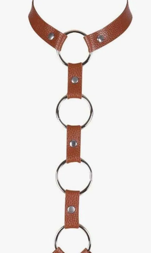 Brown Leather Harness with Silver Rings NEW - Image 2
