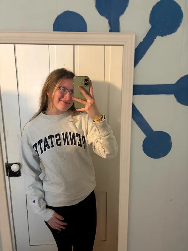 champion reverse weave Penn state gray crewneck - Image 2
