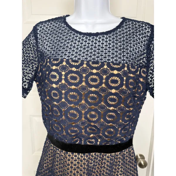Chelsea28 Navy Lace Sheath Dress Velvet Belt Ruffle Hem Cocktail Wedding Guest‎ - Image 4