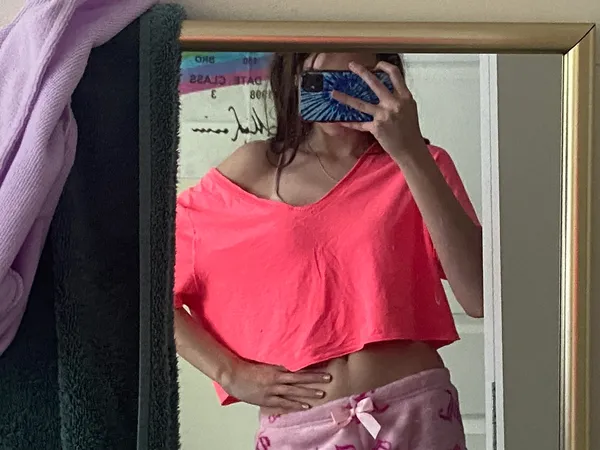 Aerie crop top - Image 3