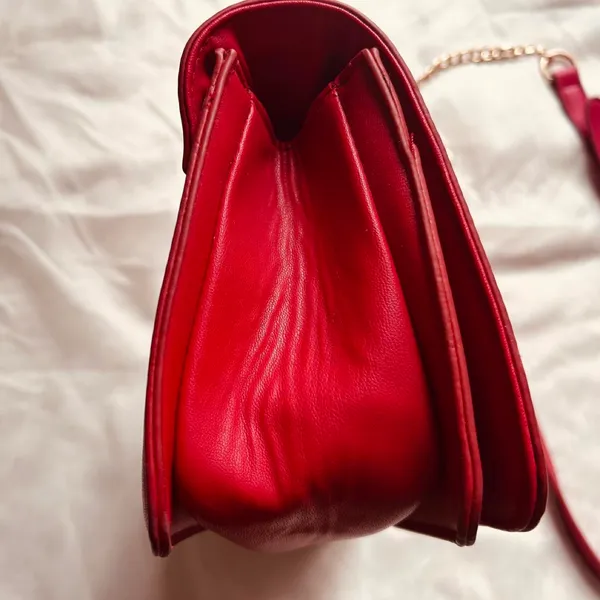 Badgley Mischka Bag - Image 7