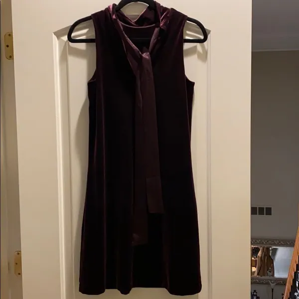 Ann Taylor Plum Velvet Dress - Image 11