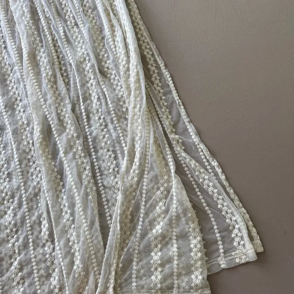 ASTR Vintage Aster Lace Crochet Sheer Maxi Dress - Image 3