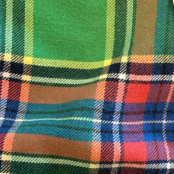 VTG Y2K Abercrombie & Fitch XS Green Plaid Flannel Shirt Moose logo Fitted fall - Image 5