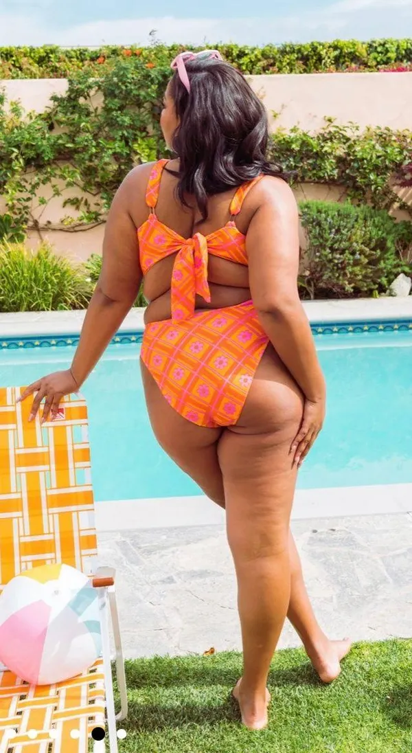 Show Me Your Mumu High Waisted Bikini Bottom - Image 4