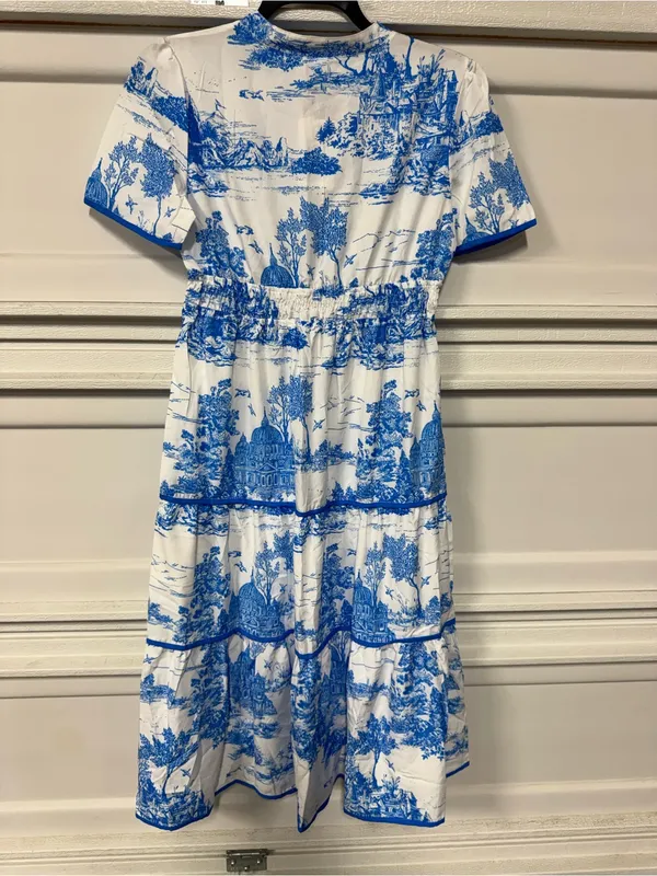 Rosa Clothing Landscape Porcelain Toile Print Flare Maxi Dress large New - Image 4