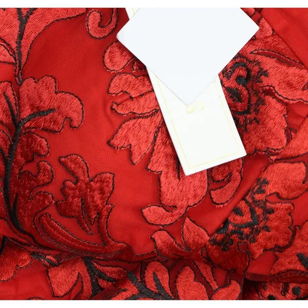 Siena Womens V-Neck Embroidered-Mesh Sleeveless Dress SATP1831 Red / Black 14 - Image 3