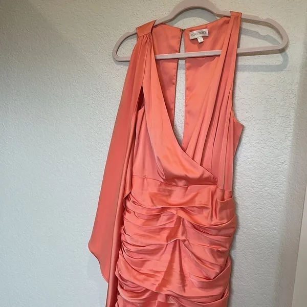 Ronny‎ Kobo Collection Coral Morgan Ruched Cocktail Dress - Image 11