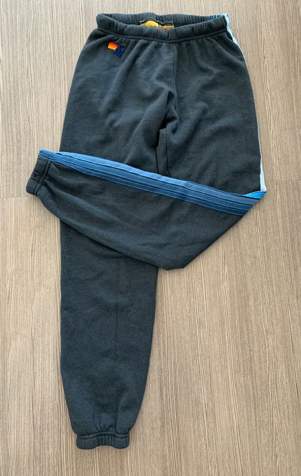 Aviator Nation 5-Stripe Sweatpants - Image 2