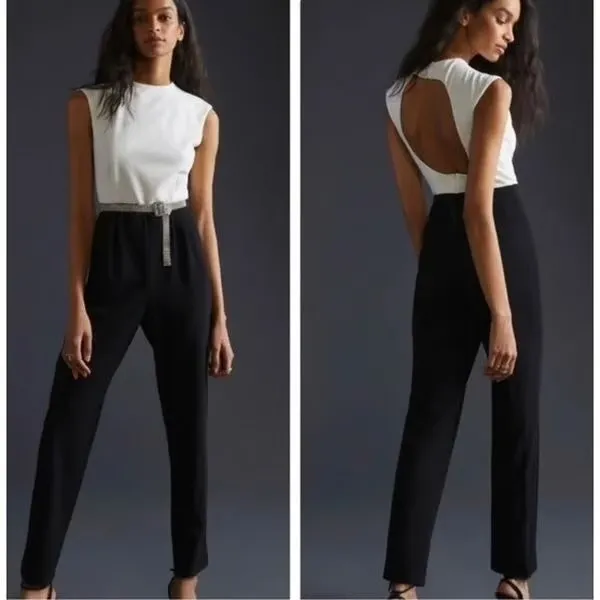 EUC Anthropologie Hutch Open Back Jumpsuit - Image 2