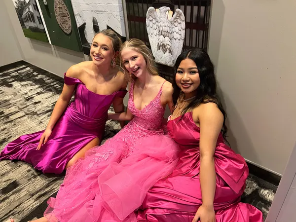 Pink Corset Sherri Hill Dress - Image 4