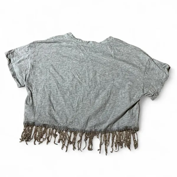 Womens Gray Graphic Crop T‎ Shirt Tiger Roses Stay Wild Live Free Fringe Grunge - Image 2