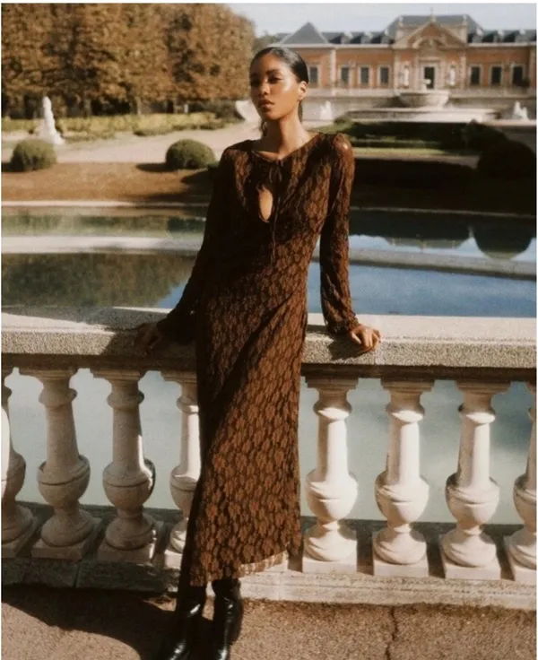 Zara Brown Lace Long-Sleeve Midi Dress - Image 5