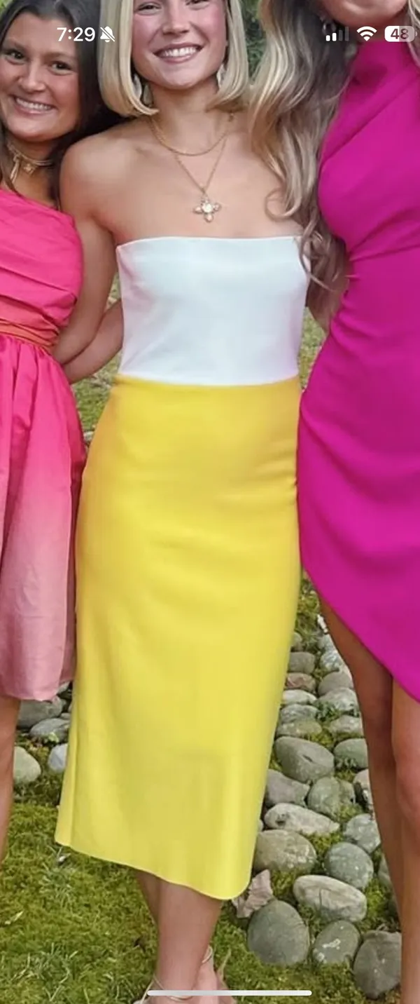 Amanda Uprichard Dress - Image 3
