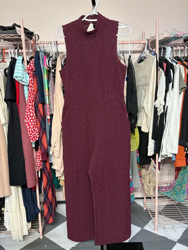NWT Anthropologie Jumpsuit Size Small Eva Franco - Image 3