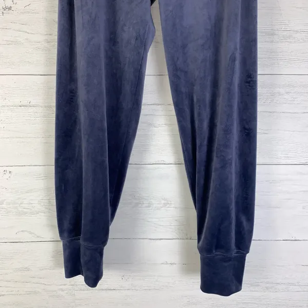 Offline By Aerie Plush Blue Velour Jogger Pants women's Size small - Image 3