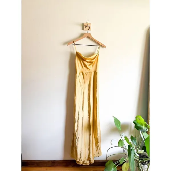 Fame and Partners Rosabel Cowl Neck Gown Size 2 - Image 3