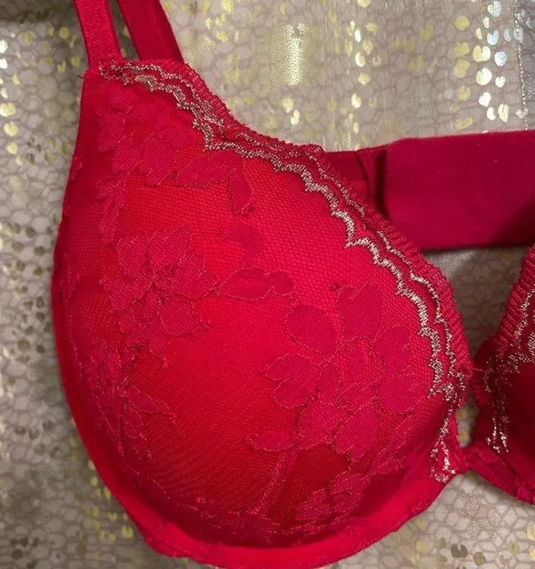 Victoria’s Secret Dream Angels Red Gold Lace Push Up Bra 32DD - Image 3