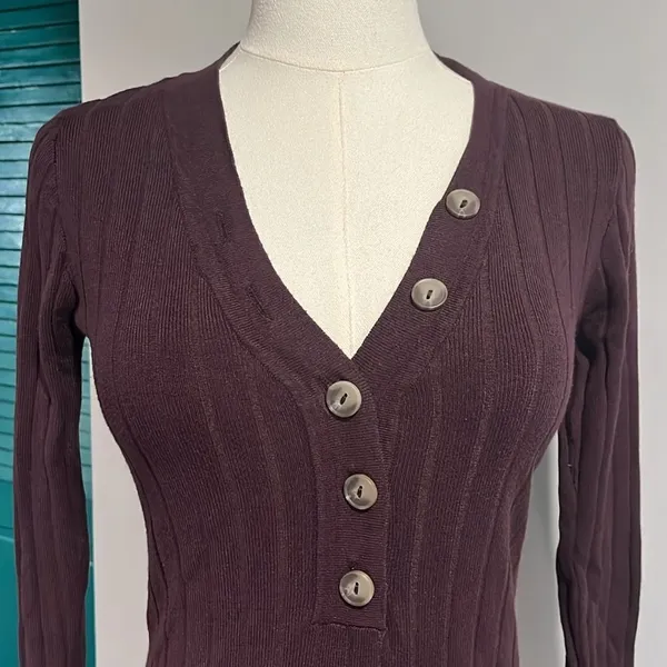 Nordstrom NWOT Wishlist ribbed plum long sleeve sweater v neck - small - Image 4