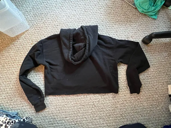 Target Cropped Hoodie - Image 2