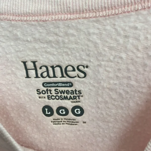 FINAL MARKDOWN Hanes sweatshirt large - Image 2