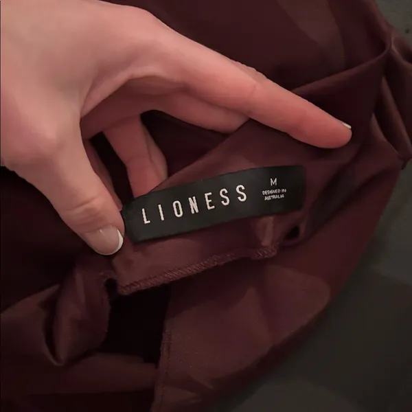 Lioness Brown Satin Mini Dress - Image 12