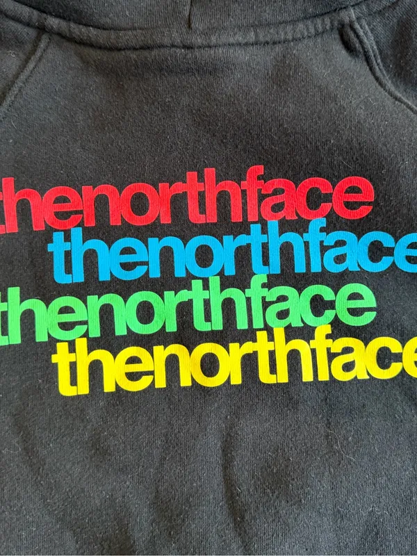 The North Face Womens Medium Hoodie Sweatshirt Rainbow Logo Spell Out EUC Pride - Image 3